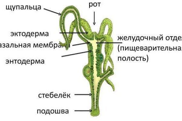 Сайты с наркотиками