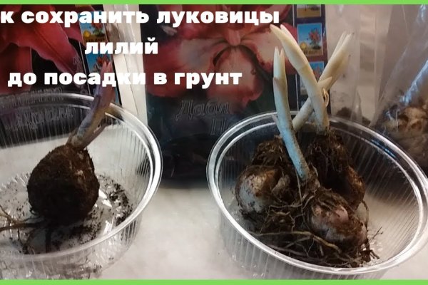 Как войти в даркнет