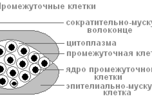Сайт kraken darknet