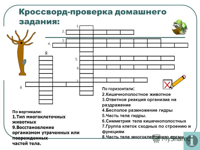 Кракен шоп зеркало